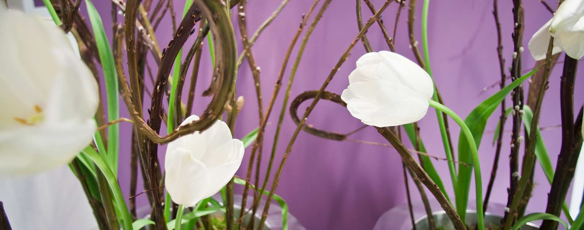 Blumenvasen zur Dekoration in der Zahnarztpraxis Grube Carl in Frechen.